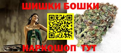 стаф Славгород