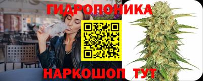 стаф Славгород