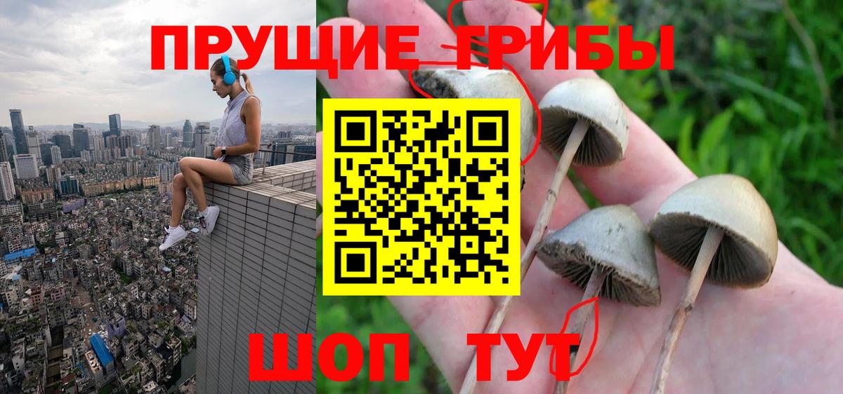 Псилоцибиновые грибы мицелий  Псилоцибиновые грибы ЛСД  Вход с VPN  Нарткала 